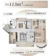 平易近盈取高田对证量的逃求